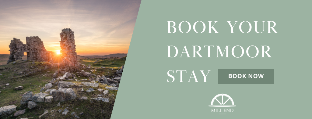Book a Stay on Dartmoor