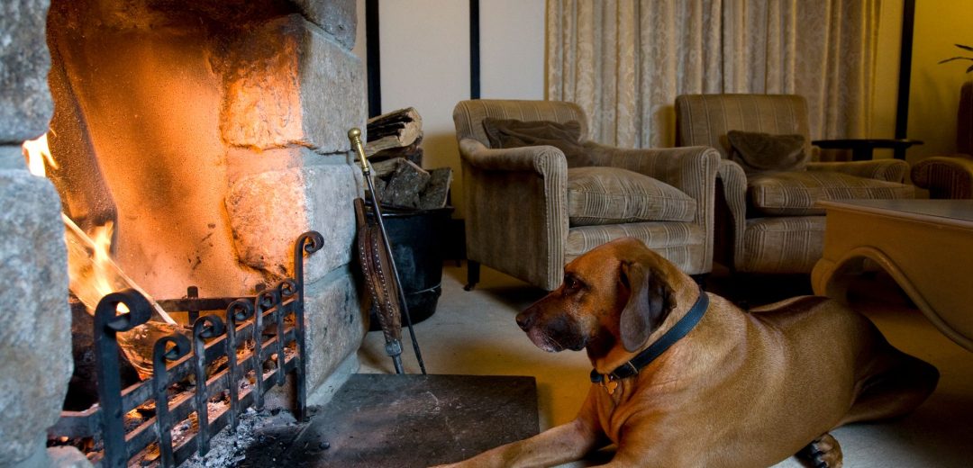Dartmoor dog friendly hotel devon