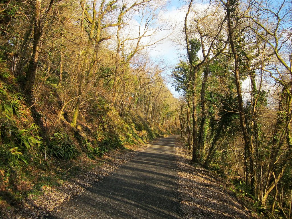A part of the cylce route on the Wray Valley trail 