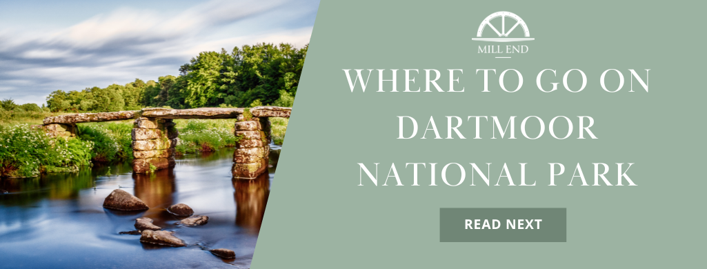 Where to go on Dartmoor National Park