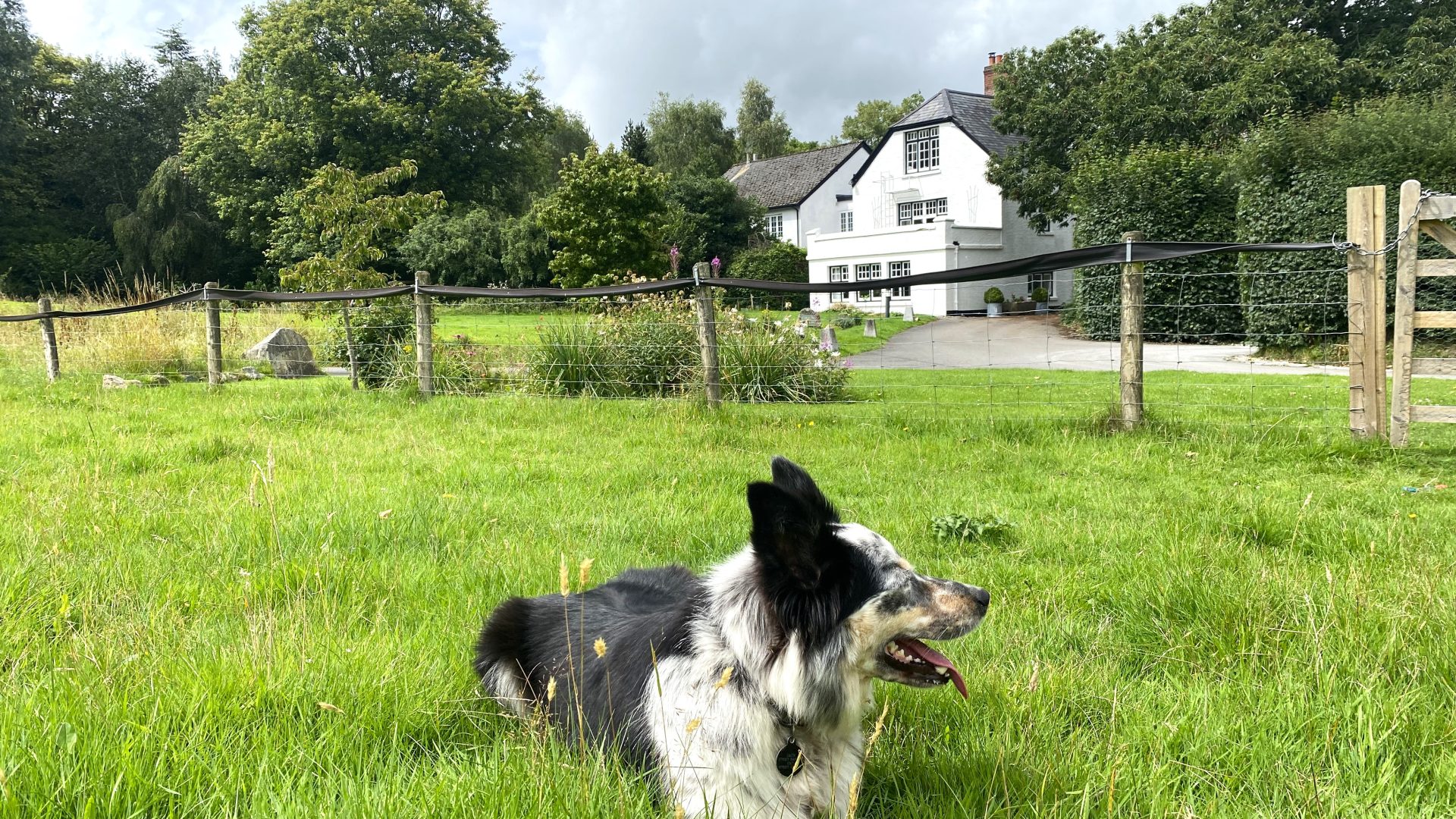 mill end luxury dog friendly hotel on Dartmoor