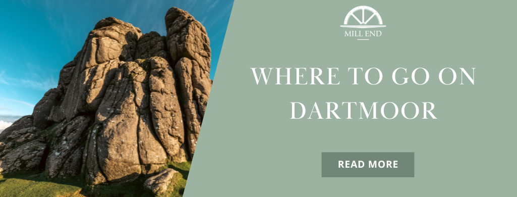 Where to go on Dartmoor